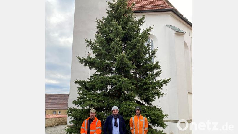 Bürgermeister Max Beer (Mitte) und die Bauhof-Mitarbeiter freuen sich, dass dank der Spenden wieder stattliche Christbäume im Gemeindegebiet Schwarzhofen aufgestellt werden konnten. Bild: Fabian Winter/exb