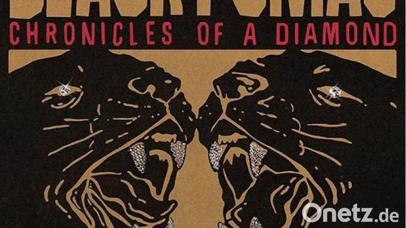 Black Pumas - Chronicles of a Diamond (PIAS) Bild: Pias