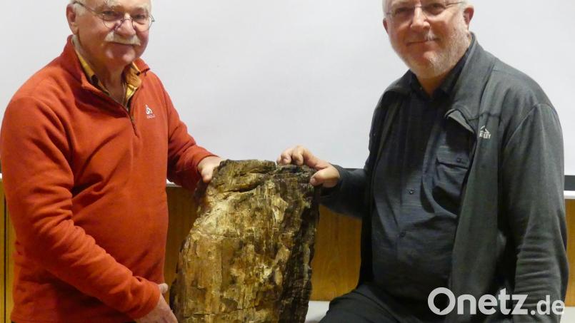 Der stolze Finder, Adi Küblböck (links) und der Weidener Bezirksvorsitzende des Vereins Freunde der Mineralogie und Geologie, Martin Füßl, mit dem versteinerten Baum. Bild: uz
