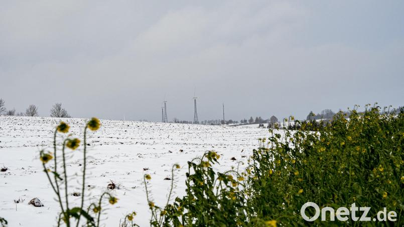 Auf der landwirtschaftlichen Fläche im Vordergrund soll der Solarpark bei Frodersreuth entstehen; im Hintergrund sind die Windkraftanlagen bei Wildenreuth/Neuenreuth zu sehen. Bild: lum