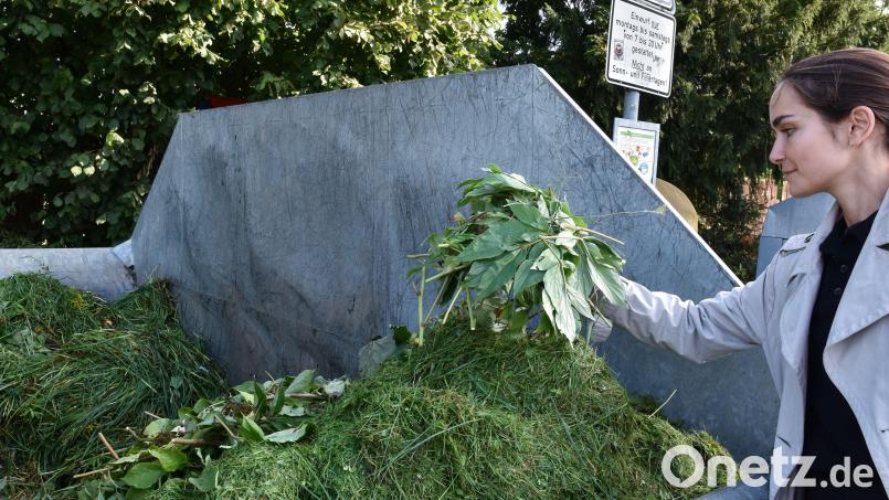 Noch bis zum 6. Dezember können die Amberger Grünabfälle in den aufgestellten Containern im Stadtgebiet entsorgen. Ab diesem Datum sind die Container im Winterquartier. Bild: Stephan Huber