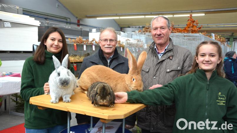 Sophie Zandt, Bürgermeister Max Bindl, Züchter-Vorsitzender Reinhard Wurm und Amelie Zandt (von links) mit einigen der ausgezeichneten Kaninchen der Rassen „Deutsche Riesen gelb“ und „Helle Großsilber“, die bei der 53. Lokalschau am Wochenende zu bestaunen waren. Bild: jr