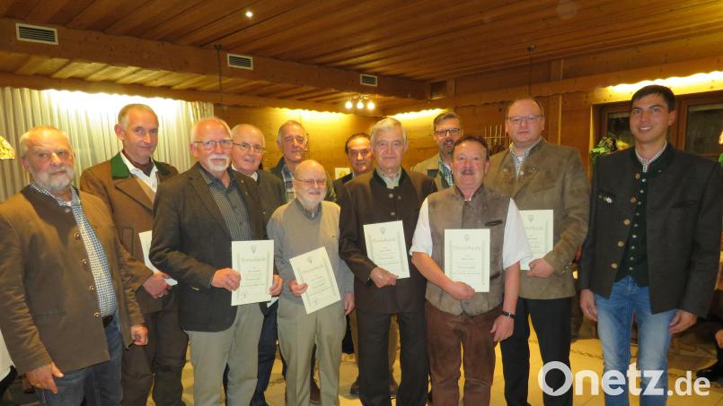 Vorsitzender Hans Dittrich (links) und sein Stellvertreter Michael Singer (rechts) überreichen an die Jubilare Urkunden. Lothar Scharnagl (vorne, Zweiter von links) ist seit 60 Jahren Mitglied. Bild: adj