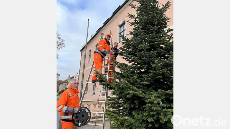 Mitarbeiter des Bauhofs stellen den sechs Meter hohen Baum auf dem Balkon des Landratsamtes auf und behängen ihn mit einer Lichterkette. V.li.: Markus Schwab, Thomas Scharl und Andreas Hirsch Bild: Christine Hollederer/exb