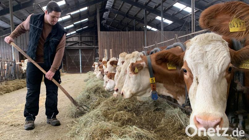 Landwirt Julian Krauß plant den Hof seiner Eltern in den nächsten Jahren zu übernehmen. Bild: pmua