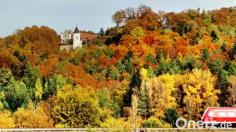 Schloss Neidstein im herbstlichen Mischwald. Bild: ds