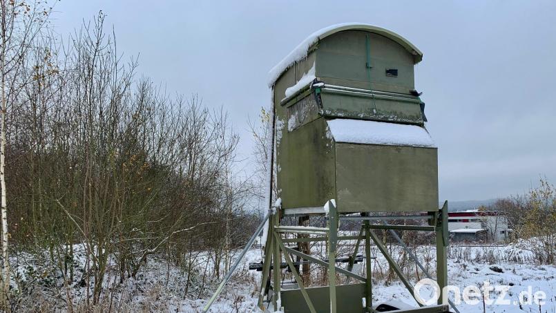 Auf der verschneiten Wiese nahe Michldorf steht ein mobiler Jägersitz. Er wurde aufgebaut, um die Mufflonschafe abschießen zu können. Bild: Gabi Schönberger