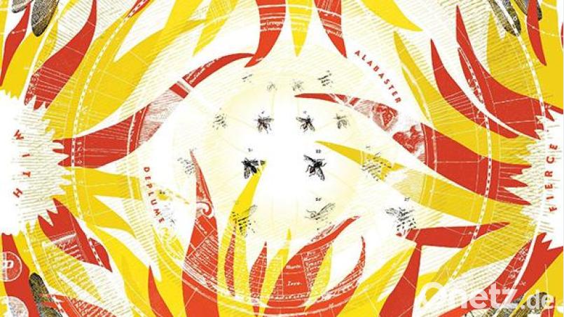 Alabaster DePlume - Come With Fierce Grace (International Anthem) Bild: International Anthem