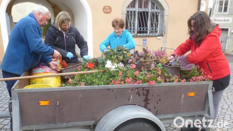 Der Gartenbau- und Ortsverschönerungsverein ist immer zur Stelle, wenn es um Pflanzaktionen geht. Bild: mad