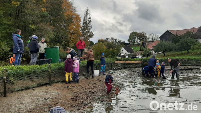 Die Kinder unterstützen Familie Maier beim Abfischen. Bild: Daniela Kielhorn/exb