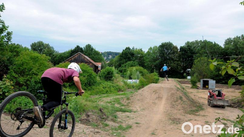 Der Dirt-Park in Amberg. Eine ähnliche Anlage - ohne den Luxus &quot;Pumptrack&quot; - soll nun auch Weiden bekommen. Archivbild: Stephan Huber