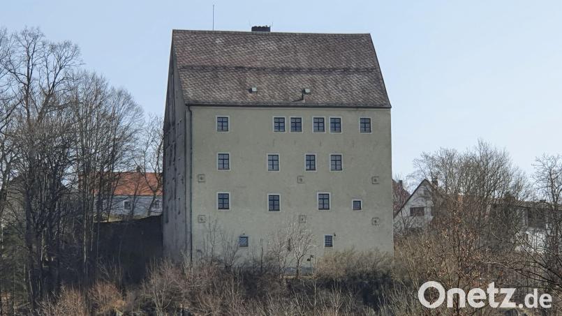 Die Burg Neuhaus ist sanierungsbedürftig. Alleine der Erhalt des Bestands dürfte nach ersten Schätzungen mit rund sieben Millionen Euro zu Buche schlagen. Bild: Lowak