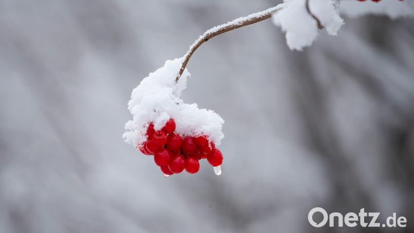 Dauerfrost und zapfige Nächte erwarten die Oberpfalz am kommenden Wochenende. Bild: Thomas Banneyer/dpa
