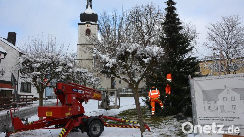 Am Mittwochvormittag wurde ein Christbaum am Therese-Neumann-Platz aufgestellt. Bild: jr