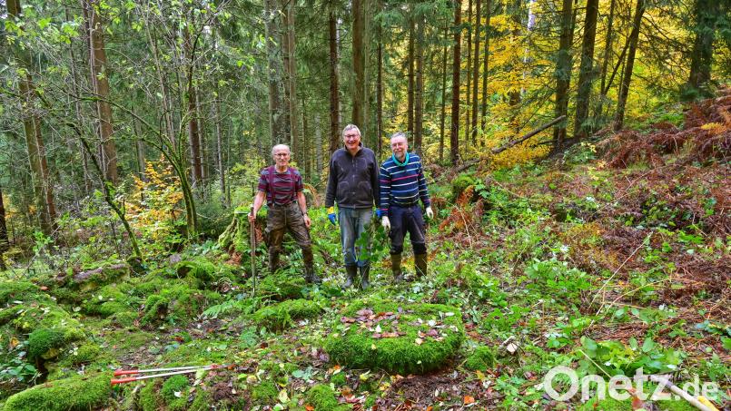 Bei einem umfangreichen Arbeitseinsatz haben Dr. Siegfried Steinkohl, Erwin Nonas und Robert Mertl (von links) vom Verein Kulturlandschaft südlicher Steinwald die einstige Hofstelle Glosenhof im Steinwald von Gestrüpp befreit und das Gelände weitläufig freigestellt. Bild: bsc