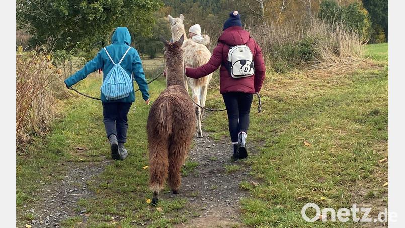 Schüler und Tiere fanden rasch zueinander beim Ausflug der gebundenen Ganztagsklasse der Kemnather Realschule nach Waldsassen. Bild: Sandra Hering/exb