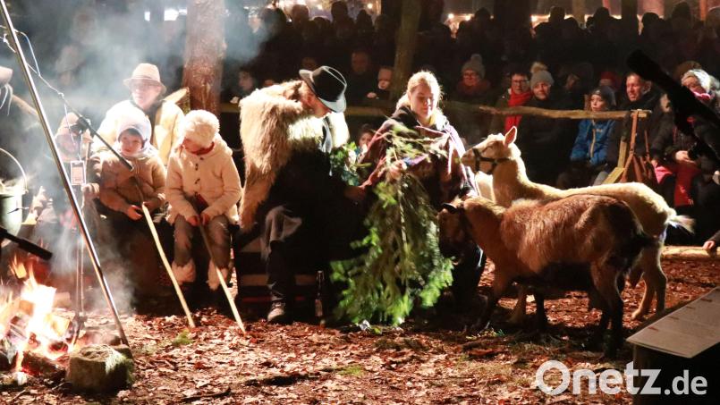 Die lebendige Krippe am wärmenden Lagerfeuer der Sorghofer Waldweihnacht. Die 34. Auflage der Traditionsveranstaltung findet am Samstag, 16. Dezember, statt. Bild: Ertl, Willi