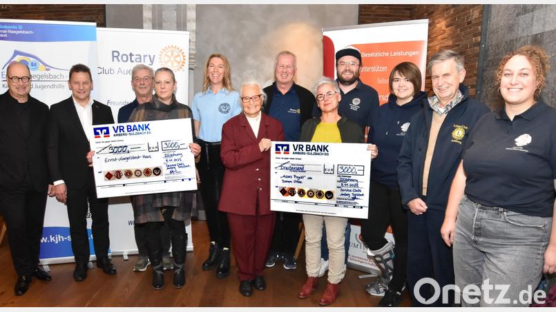 Bei der Spendenübergabe (von links): Johannes Heckmann (Nabaltec AG, Förderer), Erich Übler (VR Bank Amberg-Sulzbach, Förderer), Hans Renner (Past-Präsident Rotary Club Auerbach), Katharina Beck (Vertreterin des Ernst-Naegelsbach Hauses), Heidi Heckmann (Soroptimist International Club Amberg-Sulzbach), Maria Geiss-Wittmann (Gründerin des "Moses-Projekts"), Heinz Schlosser (Past-Präsident Rotary Club Amberg, Förderer), Ute Schieder (Leiterin von Donum Vitae), Thomas Andraschko (Präsident Round Table 69 Amberg), Viola Fritsche (Präsidentin LEO-Club Amberg), Armin Müller (Präsident Lions Club Amberg) und Julia Tontsch (Past-Präsidentin LEO-Club Amberg). Bild: no