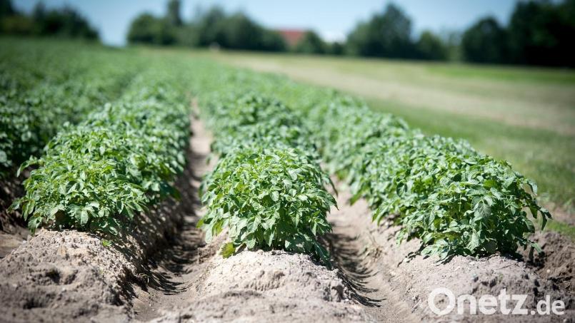 Bei der Tagung in Neunburg dreht sich alles um gesunden Boden. Bild: Wolfgang Ehrecke/exb