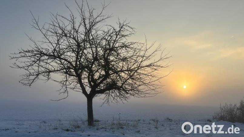 Wintermorgen: Eine Momentaufnahme am Donnerstagmorgen bei Ebermannsdorf. Bild: Heike Unger