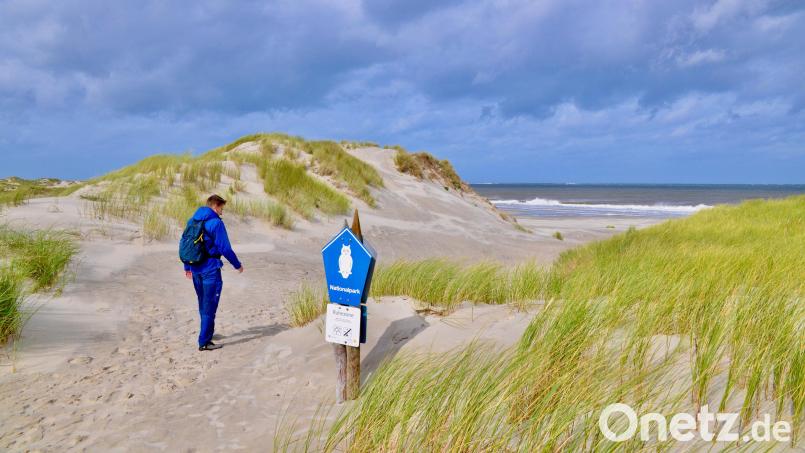 Gerade in der kalten Jahreshälfte und dann insbesondere nach Stürmen gibt es an den Stränden der Nordsee, wie hier im Osten von Borkum, interessante Funde zu machen. Bild: Wolfgang Stelljes/dpa
