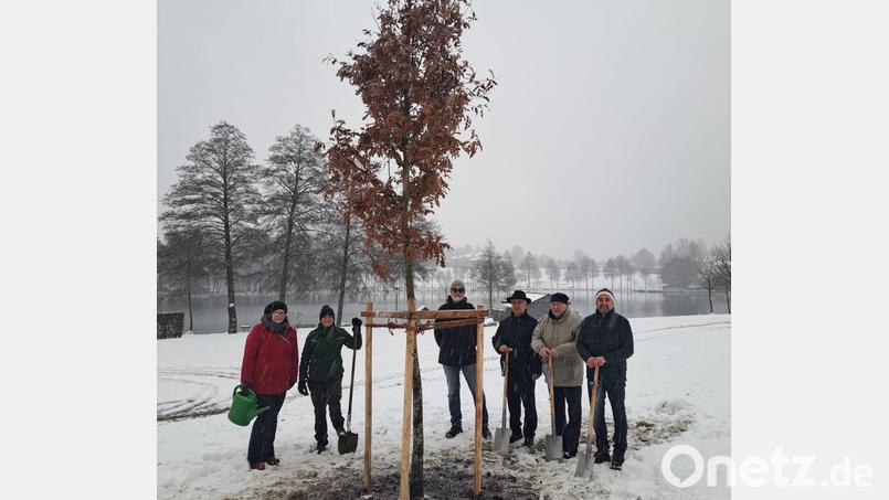 Bei „schönstem“ Wetter wurde ein Klimabaum, eine Zerreiche, in Nagel gepflanzt. Sie ist ein Willkommensgeschenk der Gartenbauvereinsfamilie an den Natur- und Kräuterdorfverein Nagel. Auf dem Bild (von links) Kreisfachberaterin Dr. Kristina Schröter, Gemeindegärtnerin Melanie Kellner, Kassier des Kräuterdorfvereins Ludwig Pöhlmann, Bürgermeister Helmut Voit, Vorsitzender des Kräuterdorfvereins Theo Bauer und Zweiter Vorsitzender des Kreisverbands für Gartenkultur und Landespflege Peter Plaß. Bild: Landratsamt Wunsiedel/exb