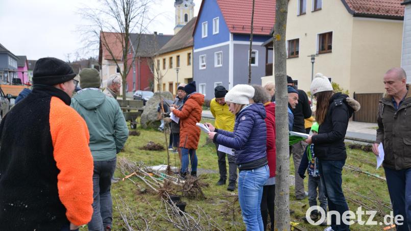 Im Rahmen der Dorferneuerung Kohlberg wurde jetzt die Aktion „Blüten für alle“ durchgeführt – dabei konnte Pflanzmaterial und Saatgut im Wert von über 4100 Euro an die Bürger verteilt werden Bild: David Rieß, ALE Oberpfalz/exb