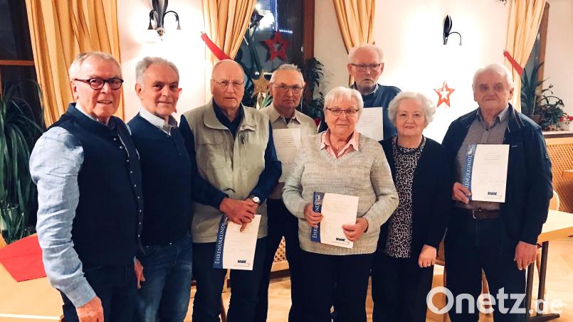 Der VdK-Ortsverband Vilseck zeichnet langjährige Mitglieder für ihre Treue aus. Von links: Vorsitzender Ernst Andraschko, Stadtrat Peter Wismeth, Herbert Zwack (25 Jahre), Alfons Meier, Maria Scherf , Oswald Krebs (alle 20 Jahre) Kreisvorsitzende Marianne Kies-Baldasty und Karl-Heinz Meier (20 Jahre). Bild: rha