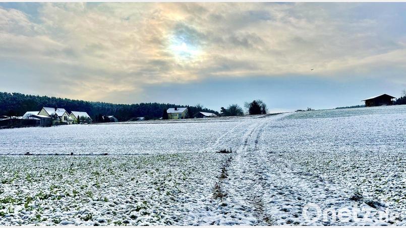 Auf diesem Areal will die Marktgemeinde Freihung das Baugebiet Seugast-Zierlohe ausweisen. Bild: Krones