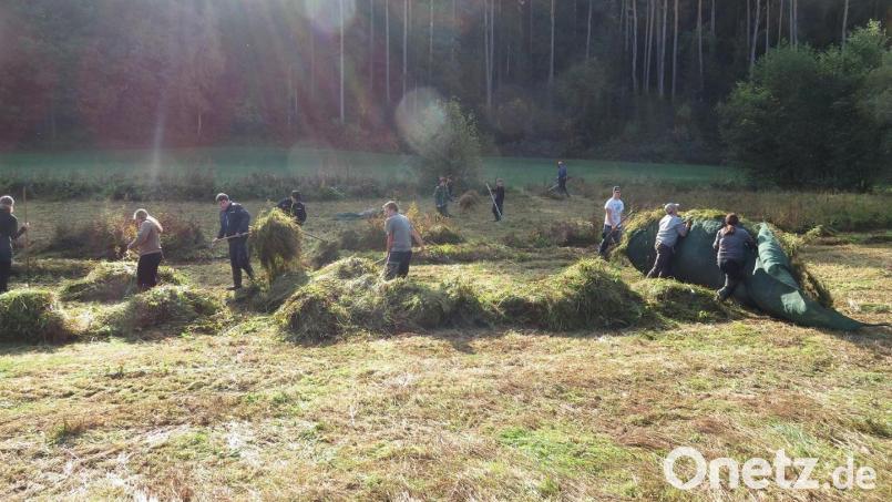 Feuchtwiesenbiotope zu pflegen ist fester Bestandteil der Ausbildung bei den angehenden Landwirten und Forstwirten der Berufsschule in Neunburg vorm Wald. Bild: Thomas Obendorfer/exb