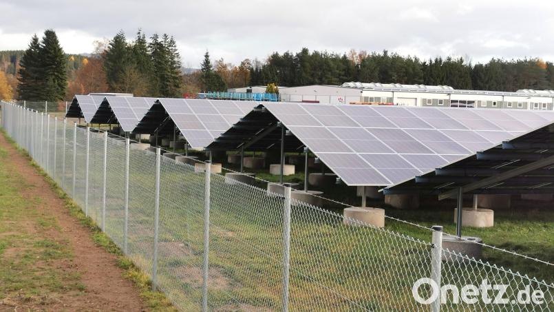Freiflächen-Photovoltaik-Anlagen, wie der DLB-Solarpark am Sandradl in Oberviechtach, spielen bei der Potenzial-Analyse des Energienutzungsplans eine große Rolle. Bild: Portner