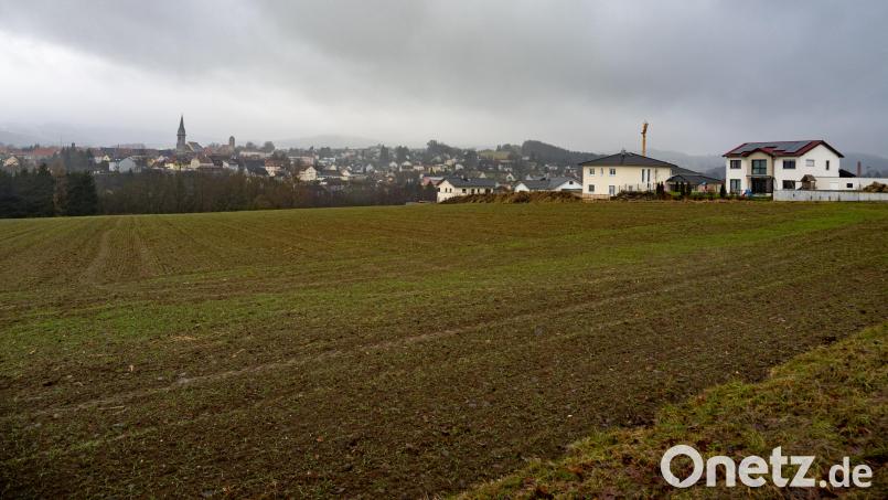 Oberhalb der Fichtelnaab, mit Blick auf den Stadtkern Erbendorfs: Hier soll das neue Baugebiet &quot;Naabhöhe II&quot; entstehen. Bild: lum