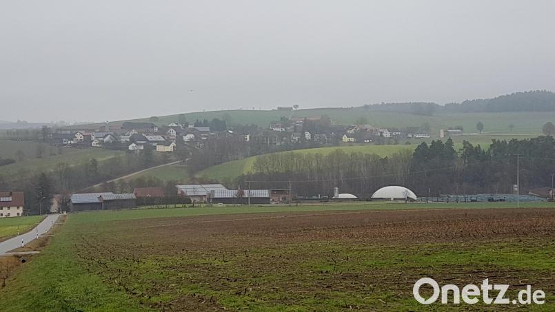 Westlich des Gemeindeteiles Niederland soll die neue Biomethananlage entstehen. Im Hintergrund die Ortschaft Saubersrieth (Osten). Bild: gi