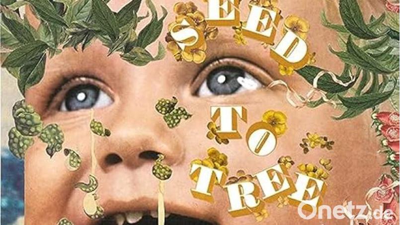 Seed To Tree – A Little Life (Pop-Up) Bild: Pop-Up