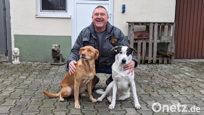 Die Tiere im Tierheim Schwandorf brauchen ein neues Dach über dem Kopf. Kassier Volker Olbrich ist optimistisch, dass die Spendenbereitschaft dafür groß ist. Bild: wrl