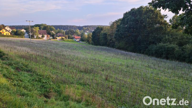 In Hammerles ist eine größere Wohnsiedlung für Witron-Beschäftigte vorgesehen. Bild: sne