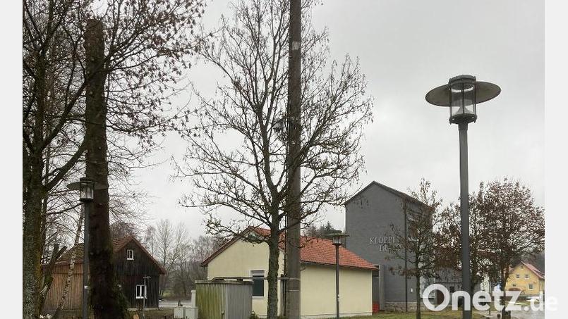 Die Bäume im Stadtgebiet sind zum Teil ausgeschnitten oder &quot;geköpft&quot;, wie hier bei der Umspannstation in der Nähe des Klöppeltrafos. Bild: Andreas Hopfner/exb