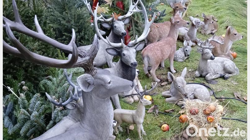 Jede Menge Waldtiere im garten von Christina Kreuzer. Dort steht die Herde den ganzen Winter über. Bild: Christina Kreuzer/exb