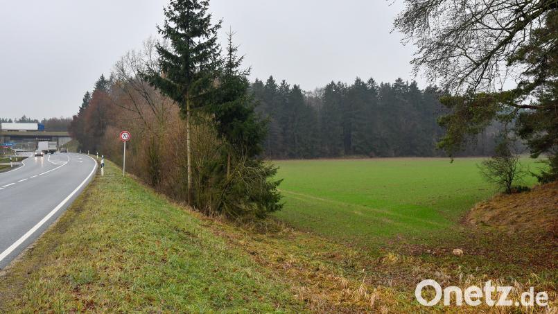 Vor gut 20 Jahren zerschlugen sich die Pläne des ADAC, im Birgland ein Fahrsicherheitszentrum zu errichten. Seitdem ist es still geworden um die als Sondergebiet ausgewiesene Fläche an der A6 und der Staatsstraße 2164. Bild: Petra Hartl