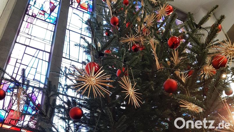 Die großen und aufwendig gearbeiteten Strohsterne zwischen den roten Kugeln an den großen Christbäumen in der Pfarrkirche Maria Königin sind ein selten gewordener Blickfang. Die Sterne wurden einst von den Mallersdorfer Schwestern in Schirmitz in Handarbeit angefertigt. Bild: ise