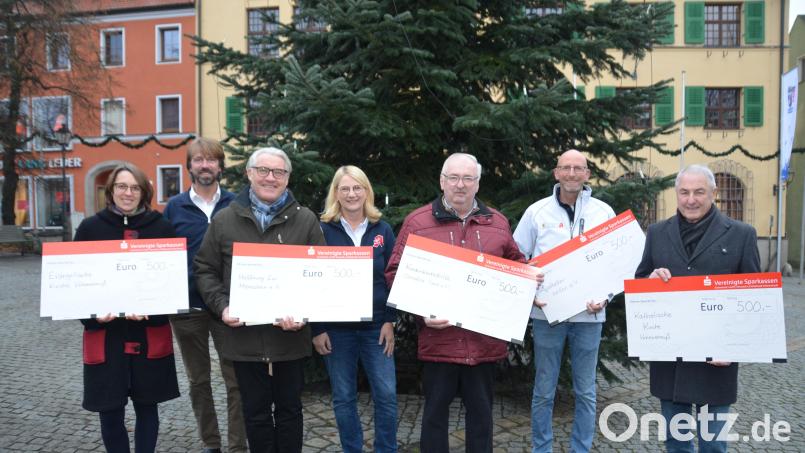 Insgesamt 2500 Euro übergeben die Apotheker Franz, Regina und Martin Wolf (hintere Reihe) an Stadtpfarrerin Carmen Riebl, Thomas Ebnet, Herbert Putzer und Günter Hassmann. Für die &quot;Apotheker Helfen e. V.&quot; übernahm Martin Wolf den Spendenscheck. Bild: dob
