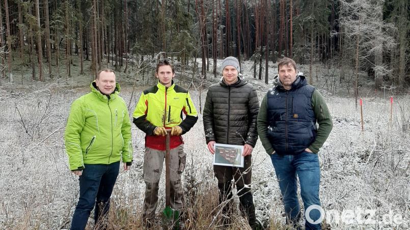 Klimaschutzbeauftragter Jürgen Günthner (rechts) und Bürgermeister Christian Porsch informierten sich bei Baumpflanzer Marcel Kausler und Sebastian Kaufmann (WBV, von links) über die Maßnahme zum Waldumbau. Bild: ak