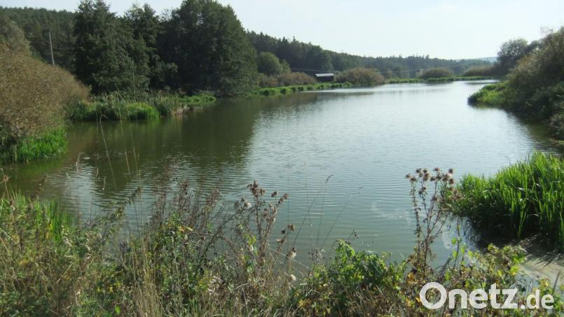 Die biologische Kläranlage Pittersbergs mit Nachbarort Breitenbrunn liefert gute Abwasserwerte, das zuständige Wasserwirtschaftsamt ist damit zufrieden. Bild: gm