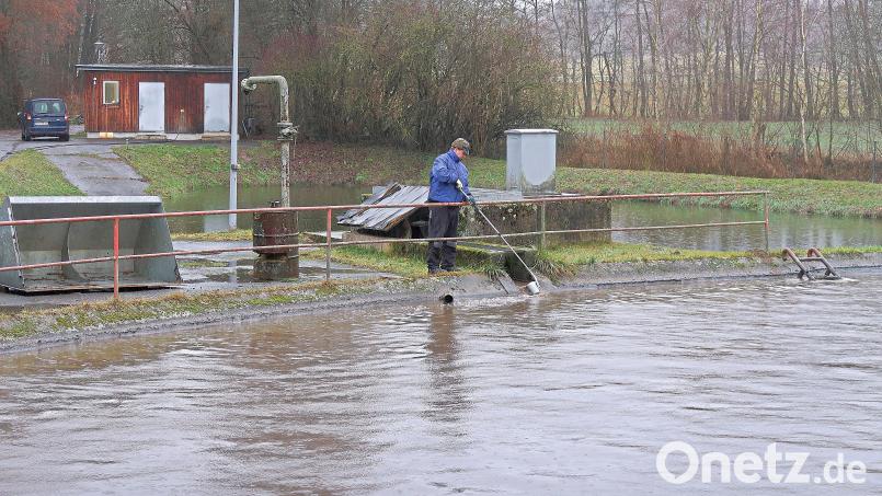 Der Kostenaufwand für die Friedenfelser Kläranlage ist enorm. Dennoch sinken ab Januar die Abwassergebühren in der Gemeinde Friedenfels. Im Bild die Kläranlage mit Klärwärter Sebastian Schultes. Bild: bsc