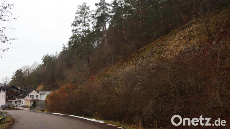 Im Bereich oberhalb der Amberger Straße 2 und des Parkplatzes in Vilshofen soll im Hang ein 70 Meter langer Steinschlagschutzzaun errichtet werden. Bild: mrr