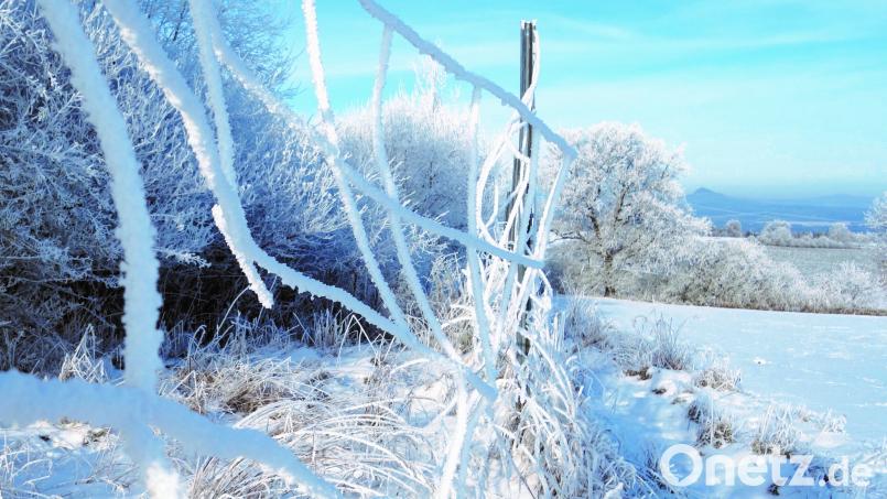 Eine der Naturaufnahmen rund um Eschenbach. Bild: Tanja Kallmünzer/exb