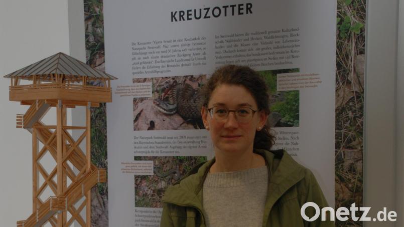 Elisabeth Frank ist seit Juli vergangenen Jahres als Geschäftsführerin des Vereins Naturpark Steinwald tätig. Bild: cvl