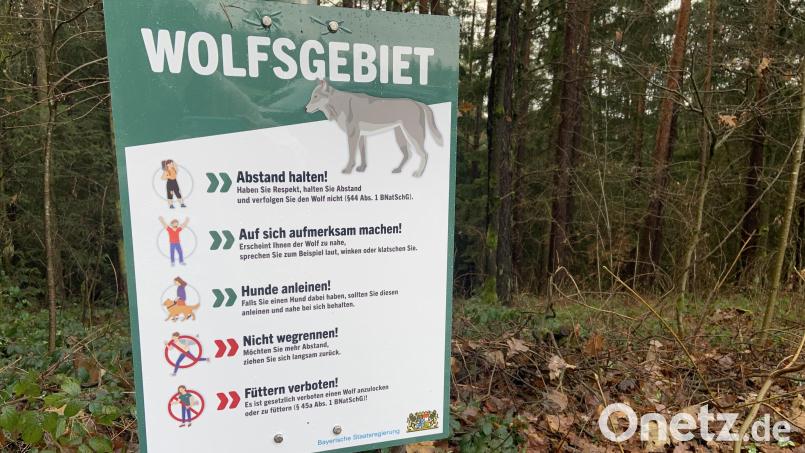 &quot;Wolfsgebiet&quot; steht auf der Infotafel. Es folgen fünf Tipps, wie man sich verhalten soll, wenn man einem Wolf begegnet. Bild: Stefanie Roth