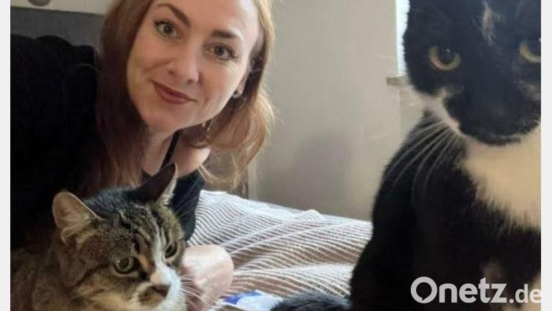 Miriam Funck beschenkt an Heiligabend ihre beiden Haustiere. Für Katze Gini (links) und Kater Hunter (rechts) gibt es leckeres Essen und Kissen zum Spielen. Bild: Miriam Funck
