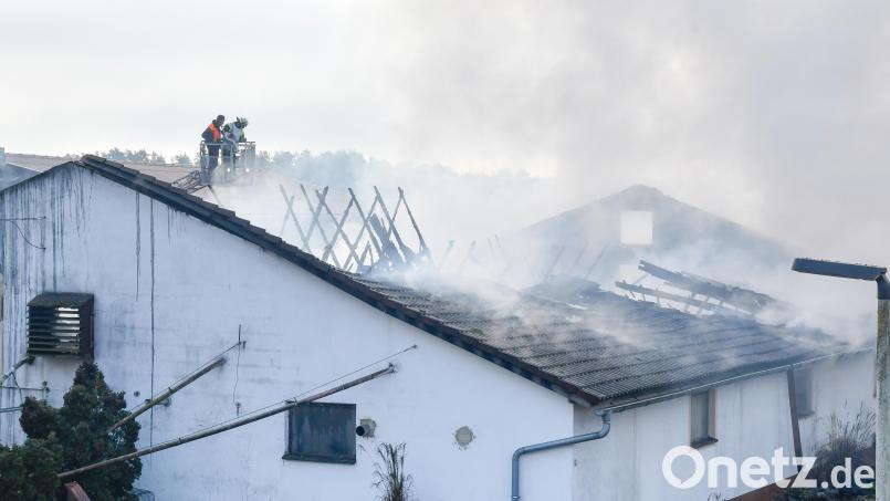 Ein technischer Defekt in der Stallung hat zu dem Großbrand in Hiltersdorf geführt, bei dem 1180 Schweine verendeten. Bild: Petra Hartl